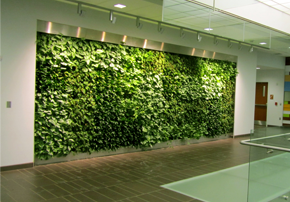 muros o paredes verdes artificiales