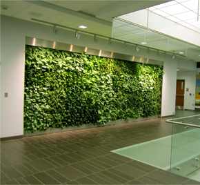 muros o paredes verdes artificiales