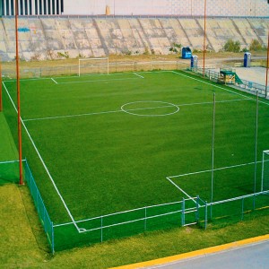 Pasto artificial